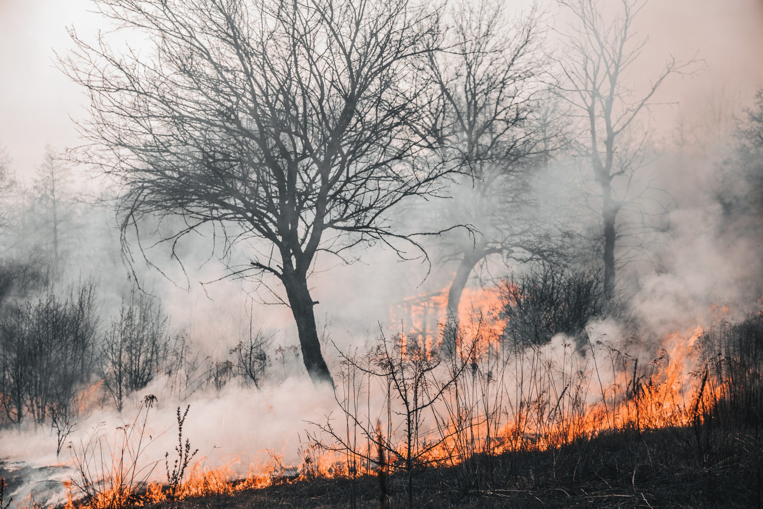 Desastres naturales más comunes en Ohio