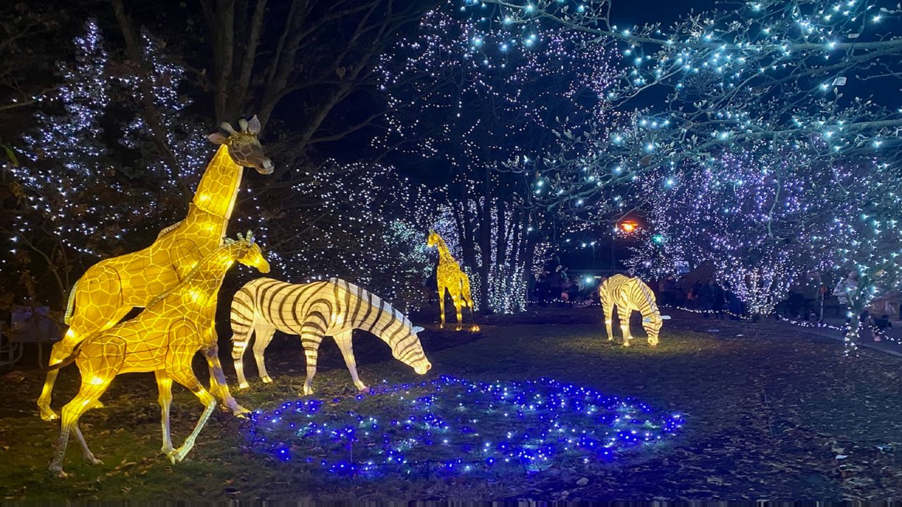 Festival of Lights del Cincinnati Zoo