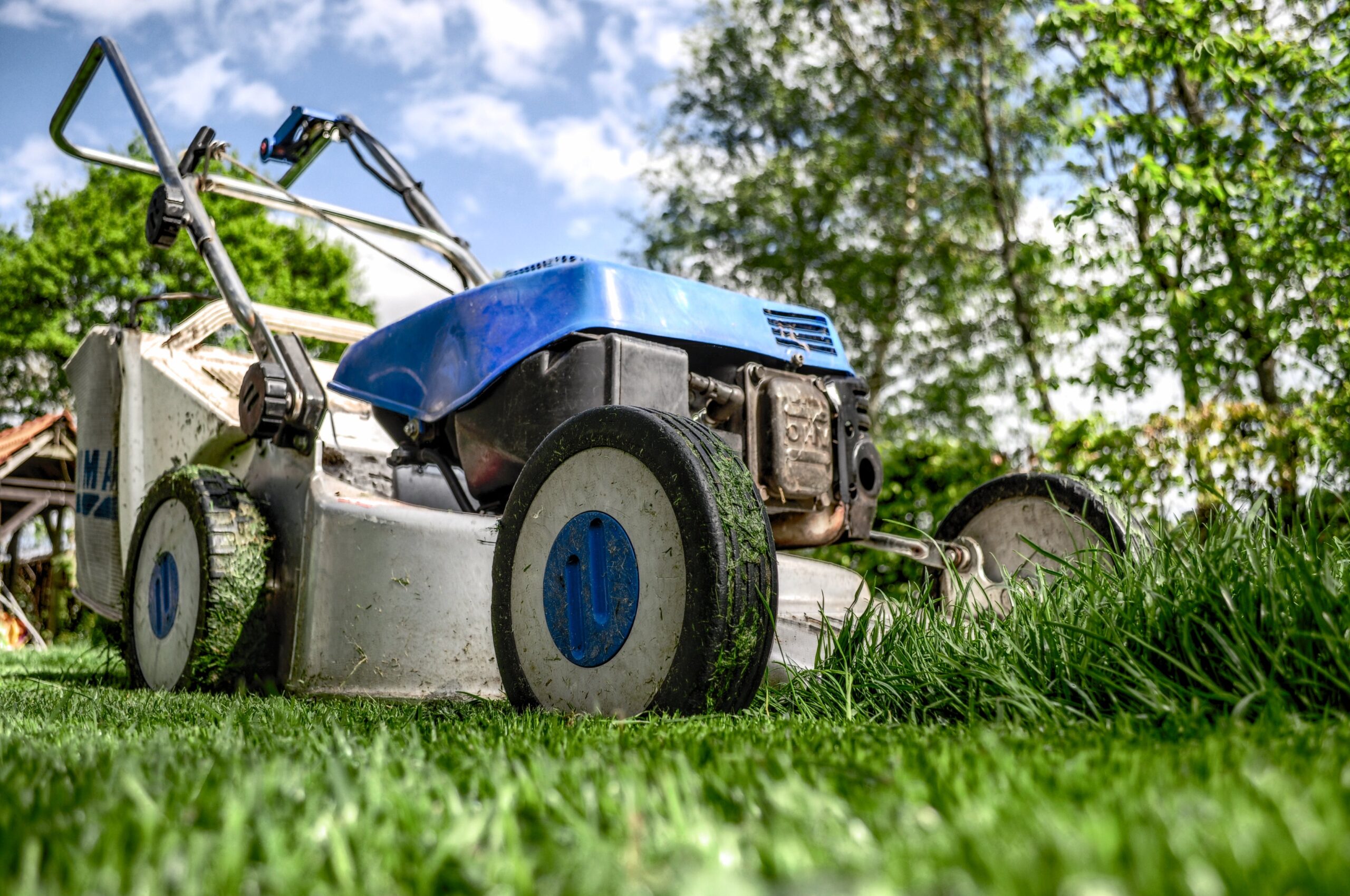 Empezar un negocio de mowing
