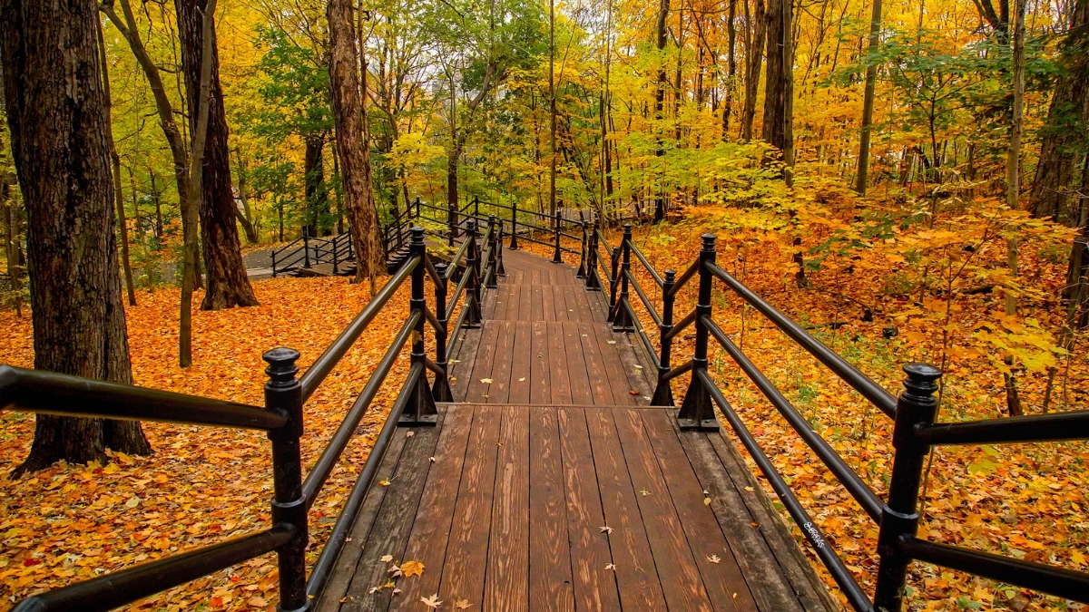 Parques Nacionales y Estatales en Ohio