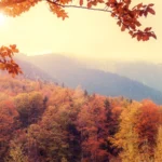 Mejores lugares para disfrutar el follaje de otoño en Ohio este 2024