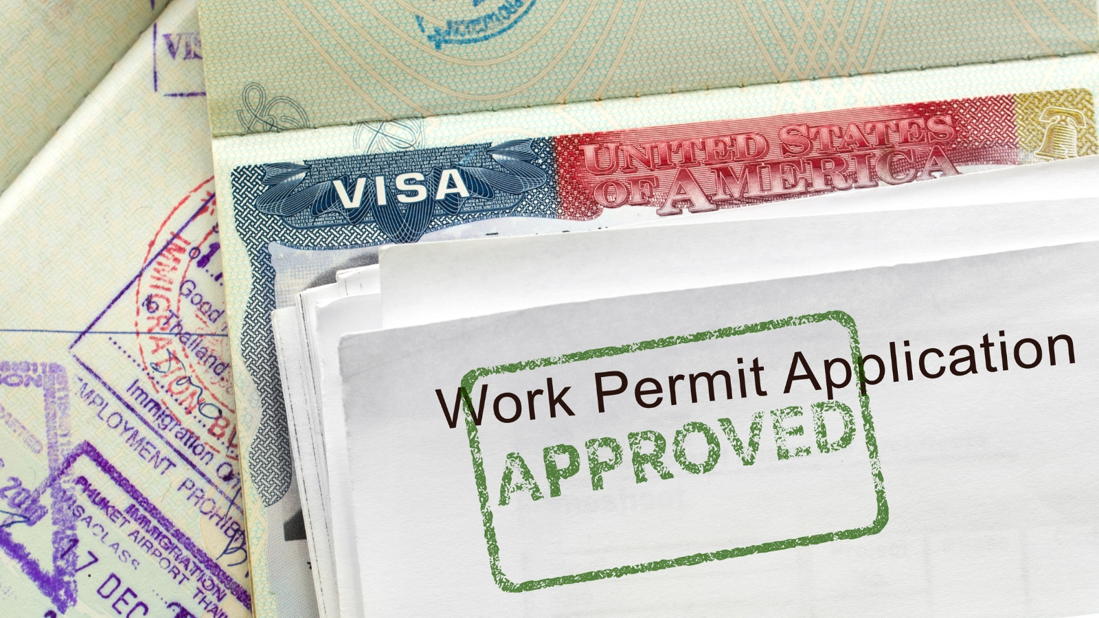 Visa L-1