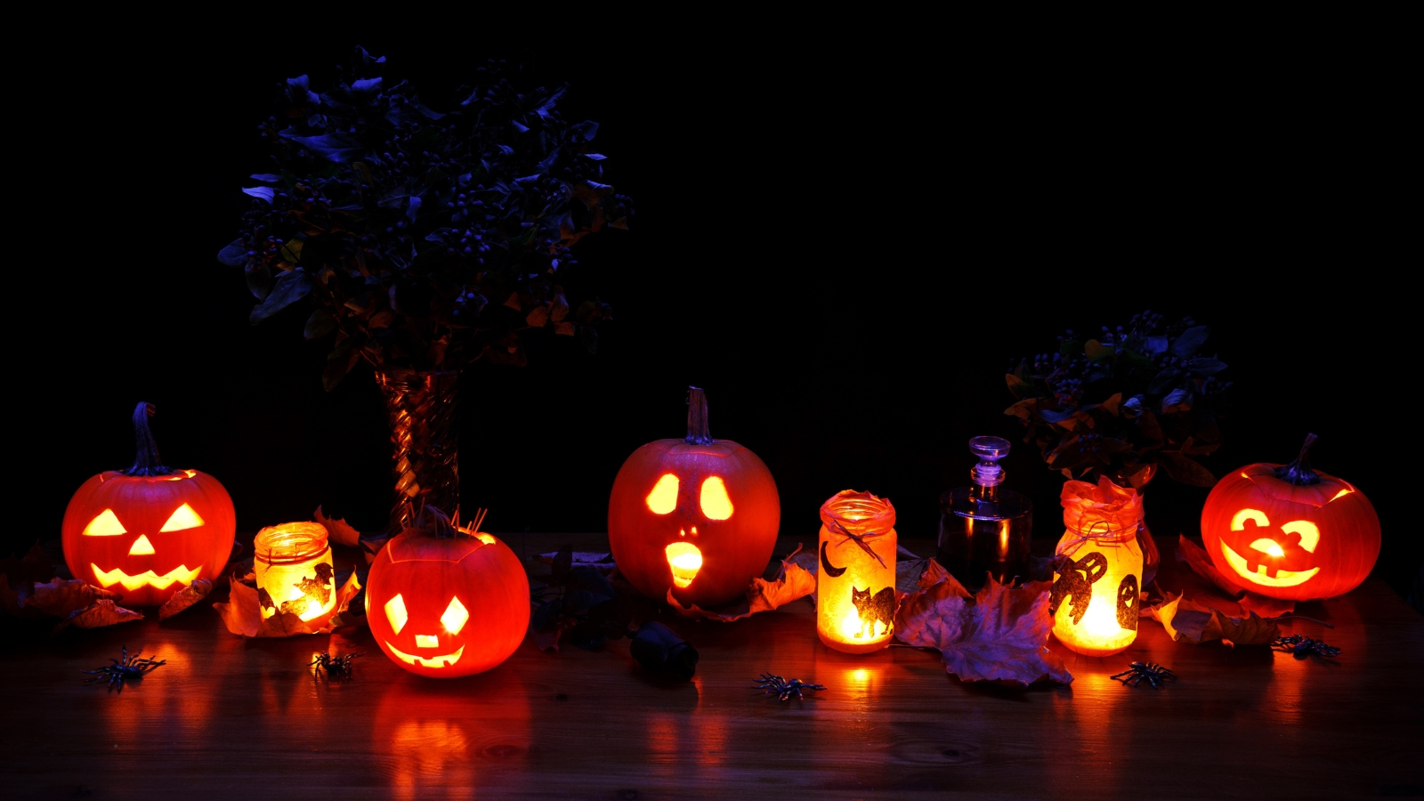 Planes fenómenales para este Halloween 2024 en el Suroeste de Ohio