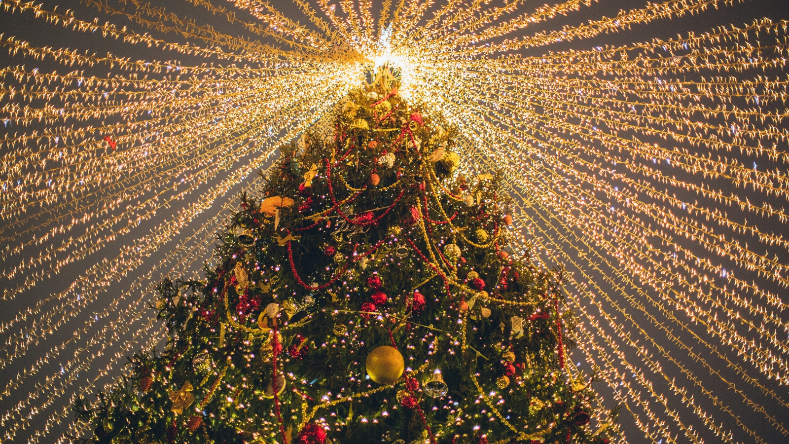 Los planes imperdibles de alumbrados navideños en el Suroeste de Ohio este 2024